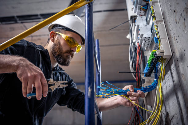 Best Affordable Electrician  in Royal Palm Estates, FL