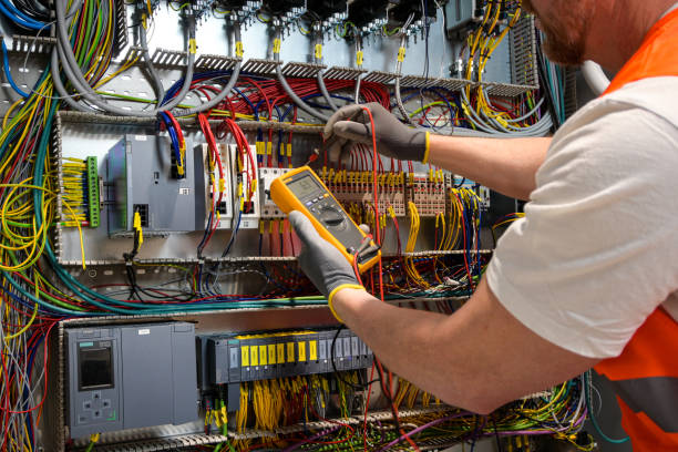 Best Electric Panel Repair  in Royal Palm Estates, FL