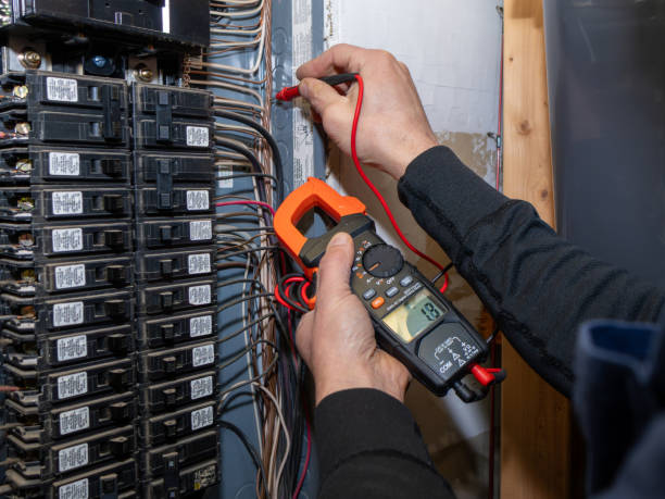 Best Licensed Electrician  in Royal Palm Estates, FL